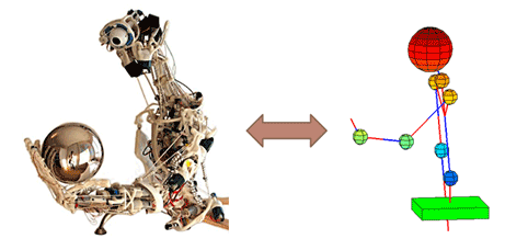 Control of the fully anthropomimetic robot